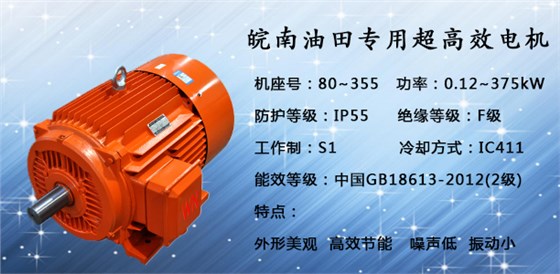 油田電機(jī)|抽油機(jī)電機(jī) 油田電機(jī)|抽油機(jī)電機(jī)