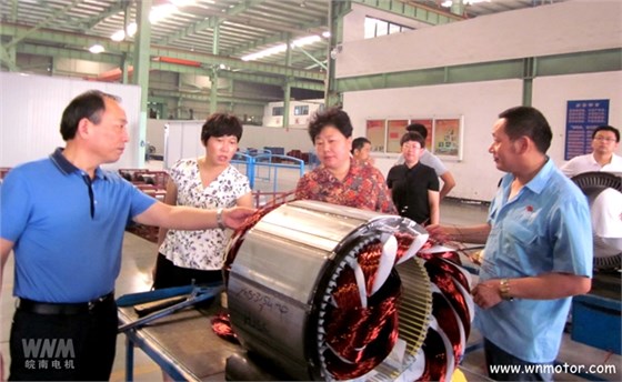 宣城市副市長到皖南電機(jī)威能公司視察 宣城市副市長到皖南電機(jī)威能公司視察