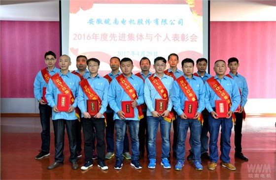 皖南電機2016年度標(biāo)兵