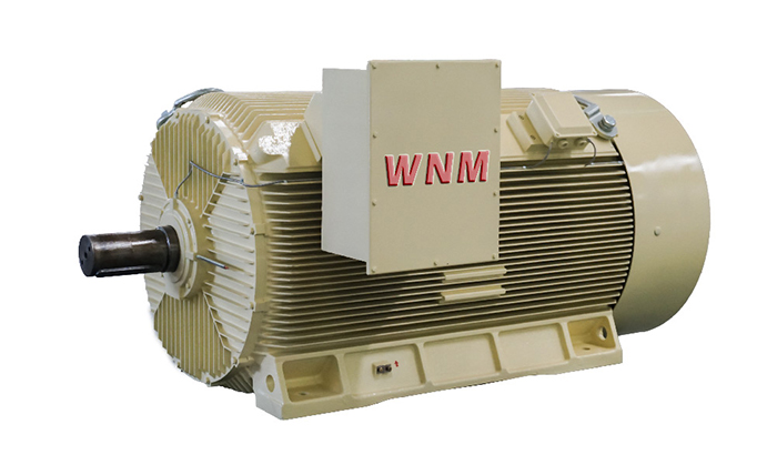 Y2系列高壓三相異步電動(dòng)機(jī) Y2系列高壓三相異步電動(dòng)機(jī)