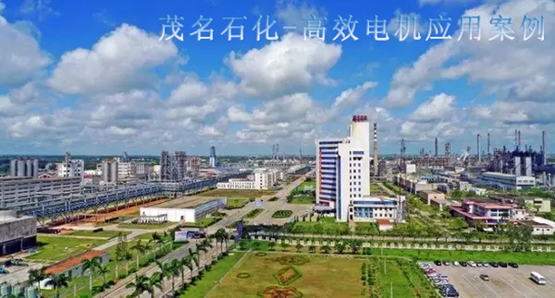 高效節(jié)能電機 高效節(jié)能電機