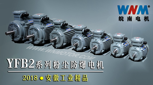 YFB2系列粉塵防爆型電機入選2018年安徽工業(yè)精品名單 YFB2系列粉塵防爆型電機入選2018年安徽工業(yè)精品名單