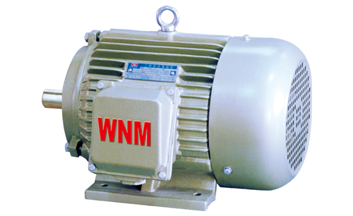 YD2系列變極多速三相異步電動(dòng)機(jī) YD2系列變極多速三相異步電動(dòng)機(jī)